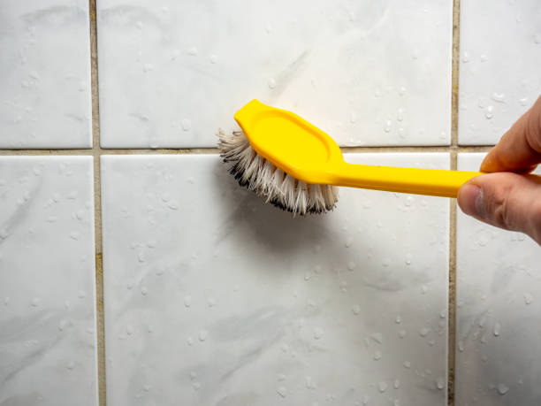 Best Mold Removal and Inspection  in Williamston, MI