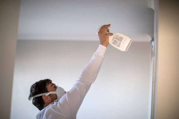 Best Office Mold Removal Services  in Williamston, MI