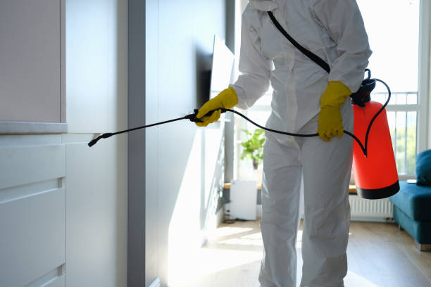 Mold Removal and Inspection in Williamston, MI