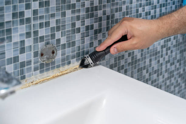 Best Mold Removal Company Near Me  in Williamston, MI