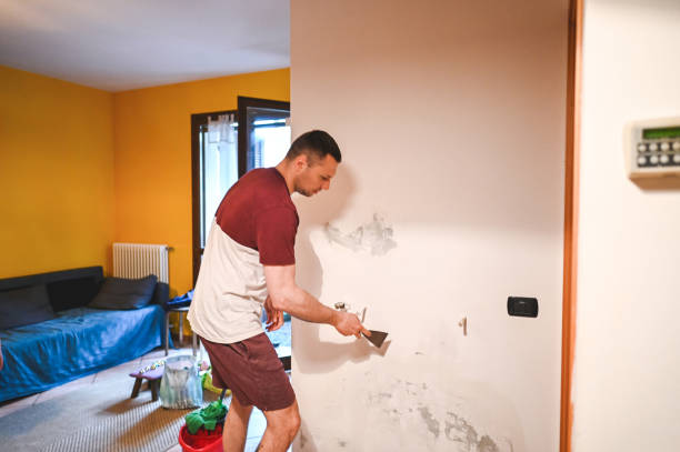 Professional Mold Removal in Williamston, MI